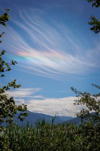 irisierende Wolken - fotografiert von meinem Mann