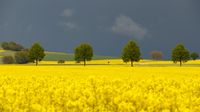 2021052202671a-naturfotografie-landschaft-rapsfeld-himmel-wetter