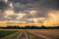 Zwischen Sonne und Regen