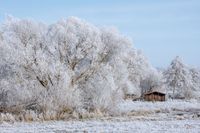 Winter in den Wiesen