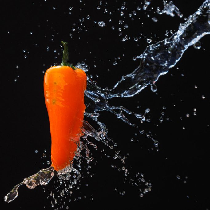 Eine orange Karotte wird von spritzendem Wasser umgeben.