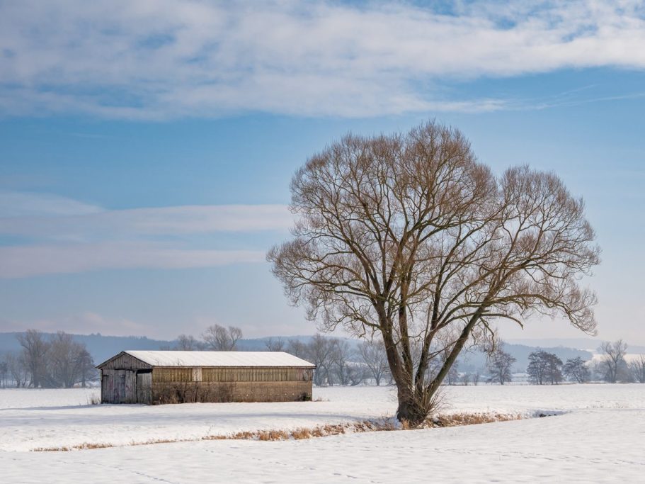 In den schneebedeckten Schwalmwiesen Ein einsames Holzhaus steht im Schnee, neben einem großen Baum unter einem blauen Himmel.
