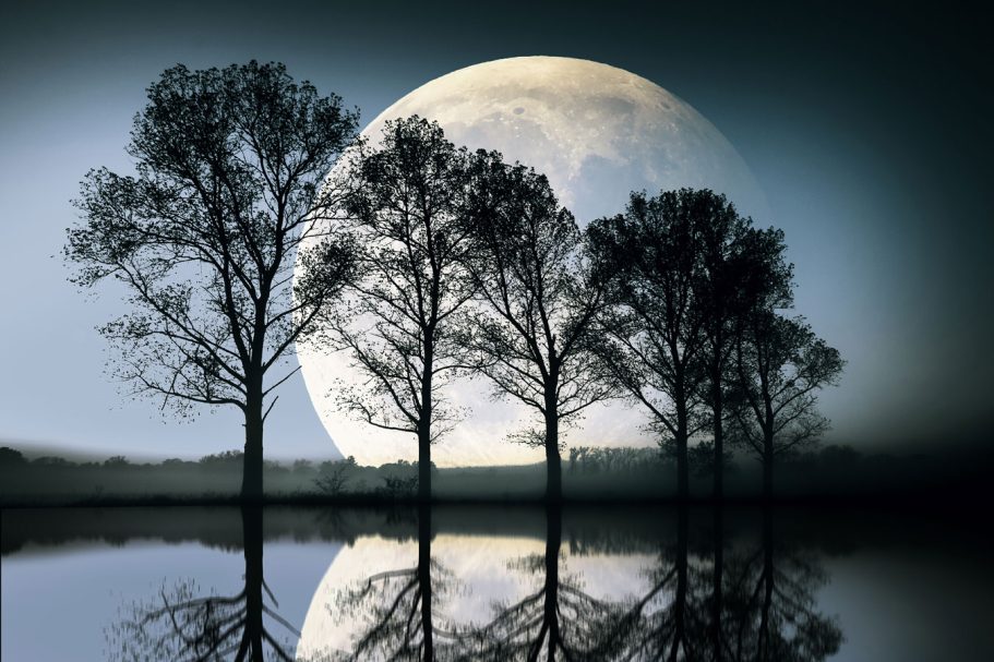 Silhouetten von Bäumen vor einem großen Vollmond über einer ruhigen Wasseroberfläche.