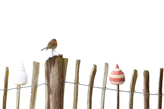 Ein Vogel sitzt auf einem Holzpfosten neben bunten Zierobjekten auf einem Zaun.