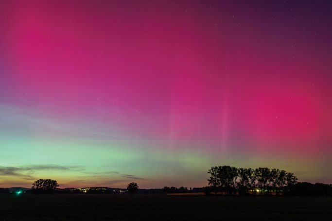 Bunte Polarlichter über einem Landschaftshorizont mit Bäumen im Vordergrund.